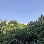 Good Stay Free Drop To Us, Netherland Embassy